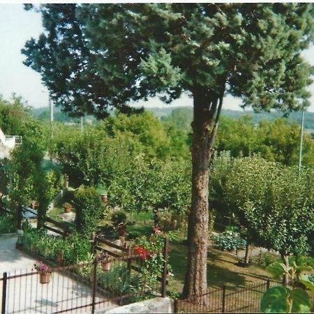 Residence Le Betulle Executive Caselette Εξωτερικό φωτογραφία